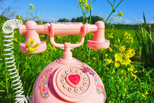 Sådan tjekker du, hvem der ejer et dansk telefonnummer